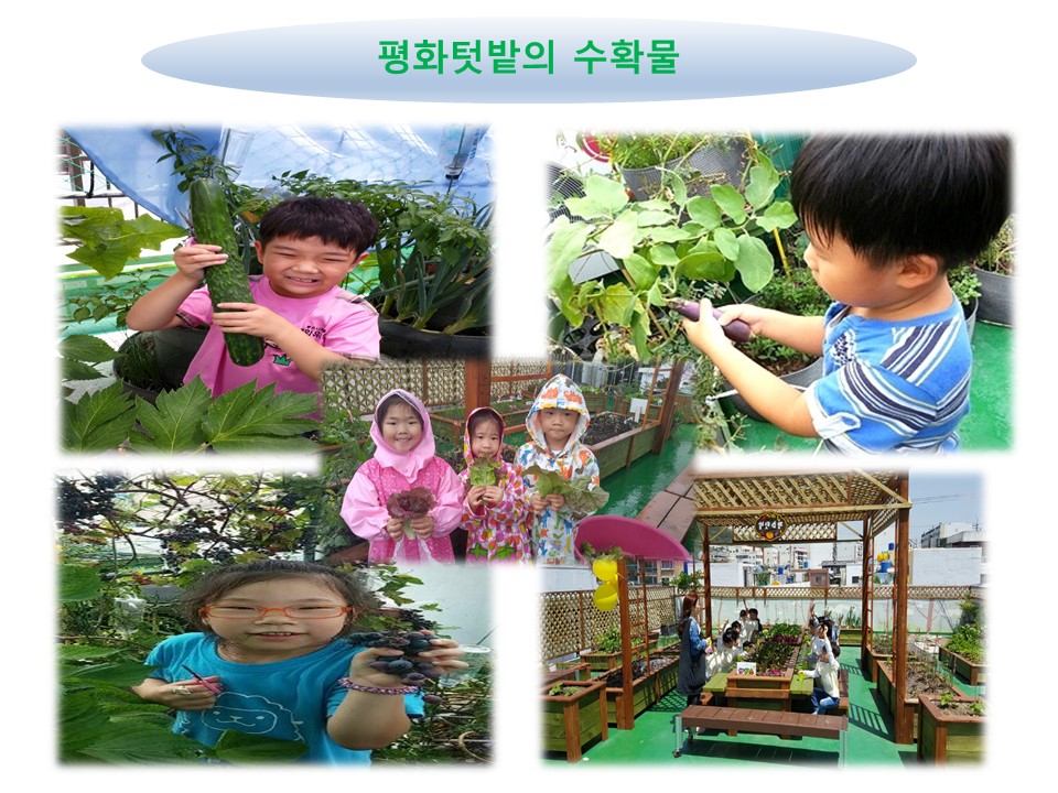 텃밭1