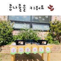 2022-04 콩나물을 키워요 상세보기