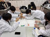 2025학년도 심화실험 과학교실 상세보기
