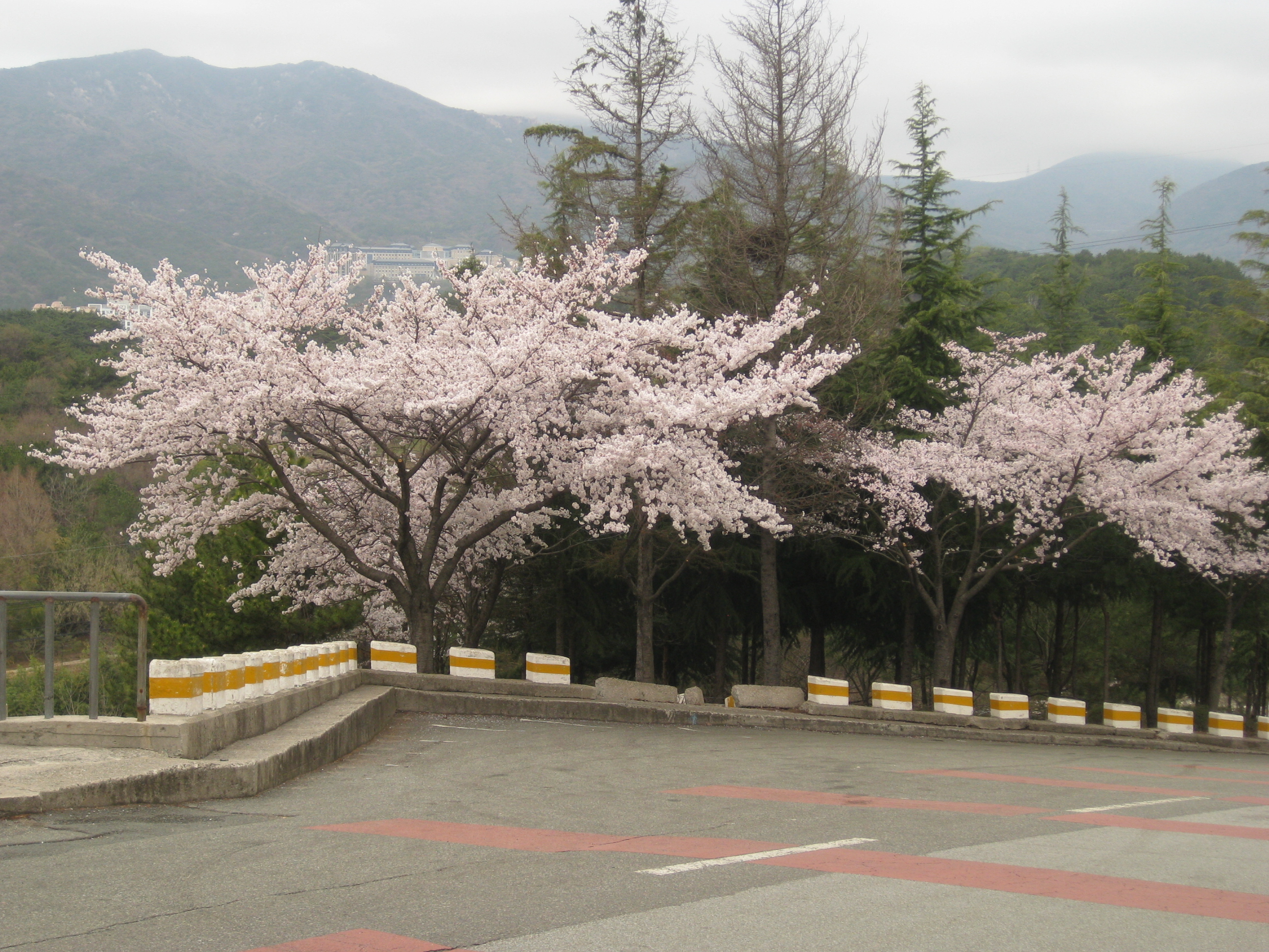 봄2... 상세보기