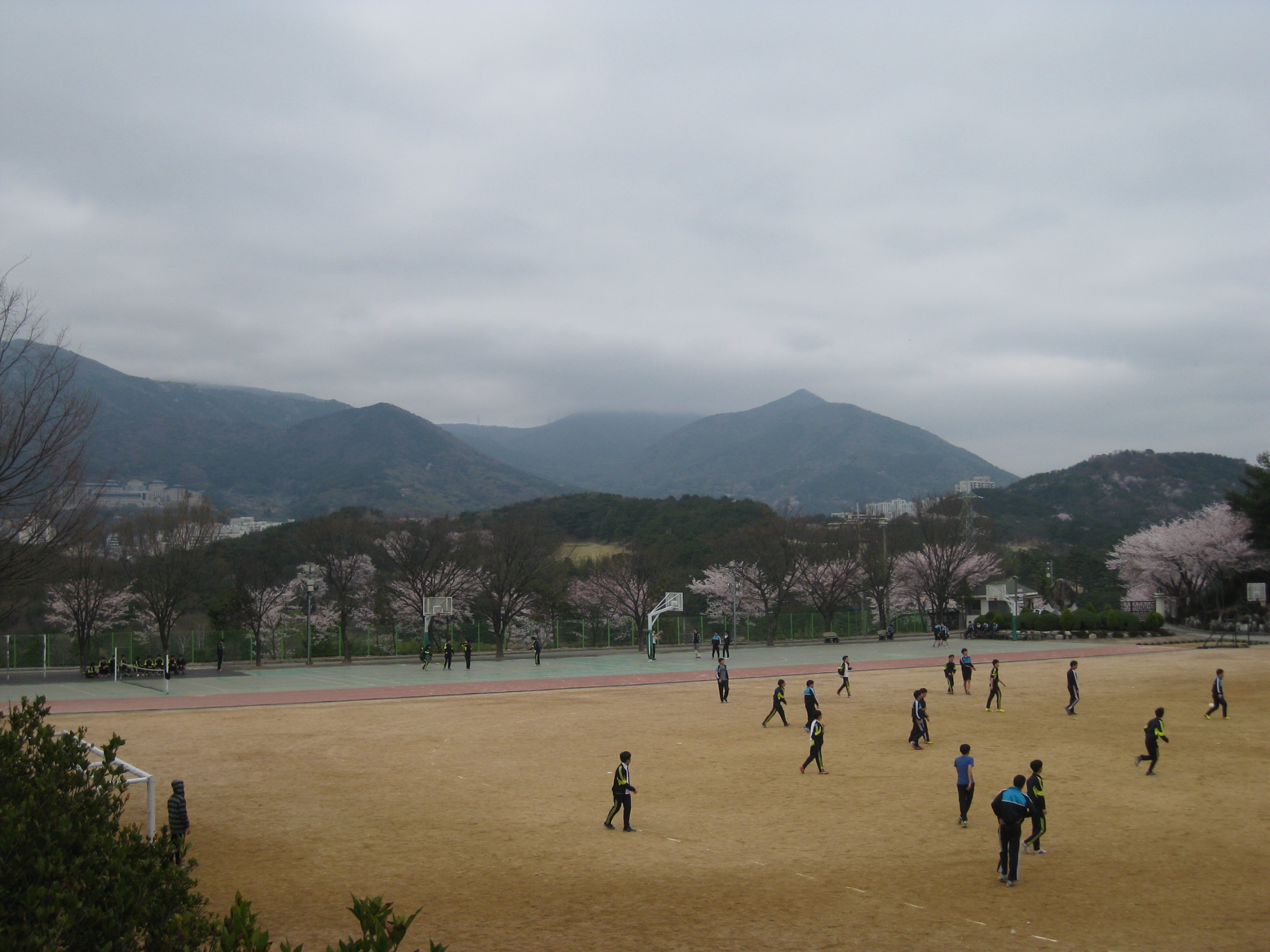 봄3... 상세보기