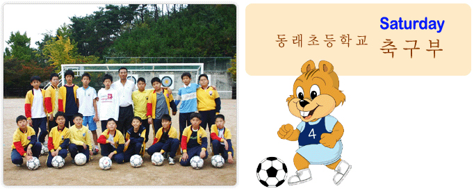 스포츠(토요)
