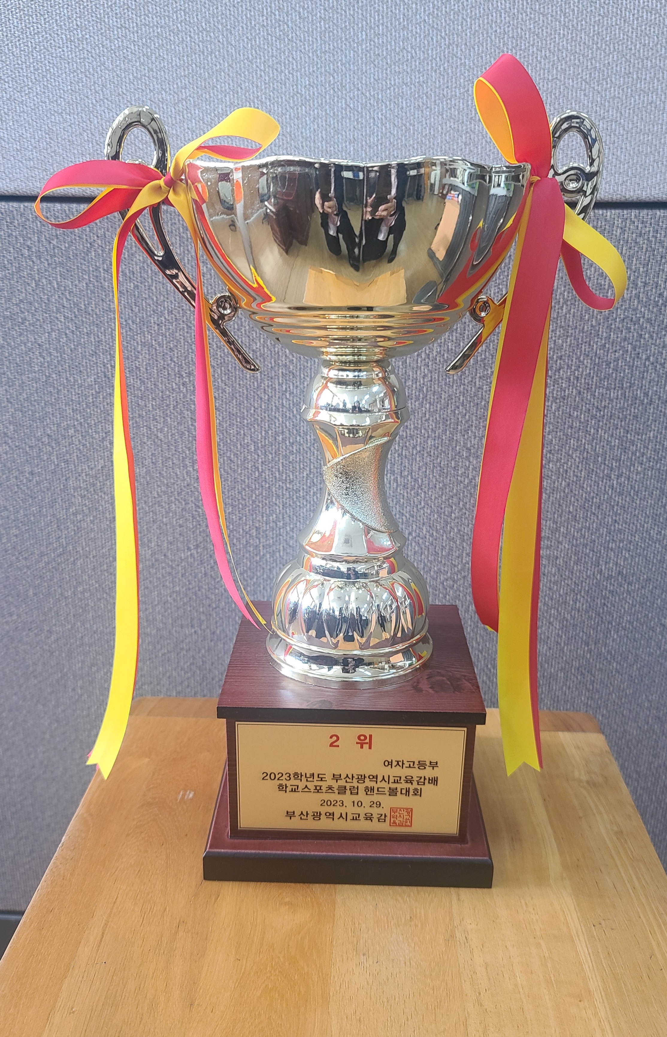 학교스포츠클럽-핸드볼