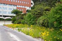 학교 운동장 상세보기
