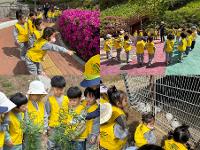 4세 숲에서 놀자(근린공원 숲체험) 상세보기