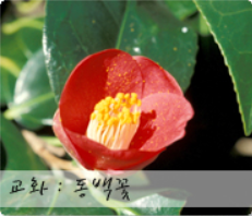 동백꽃의&nbsp;꽃말처럼&nbsp;사랑과&nbsp;따뜻한&nbsp;마음을&nbsp;지닌&nbsp;어린이가&nbsp;되기를&nbsp;바라는&nbsp;마음입니다. 이미지