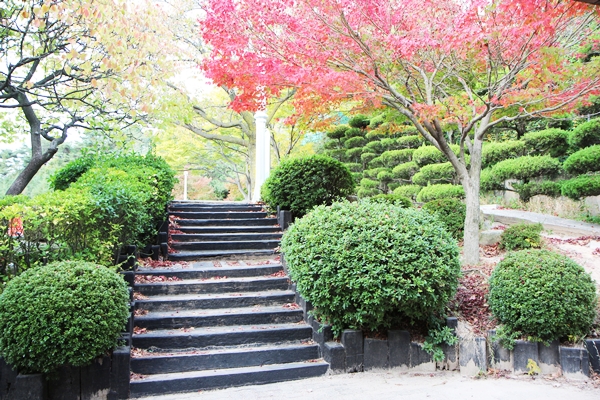 아름다운 우리학교의 가을 상세보기