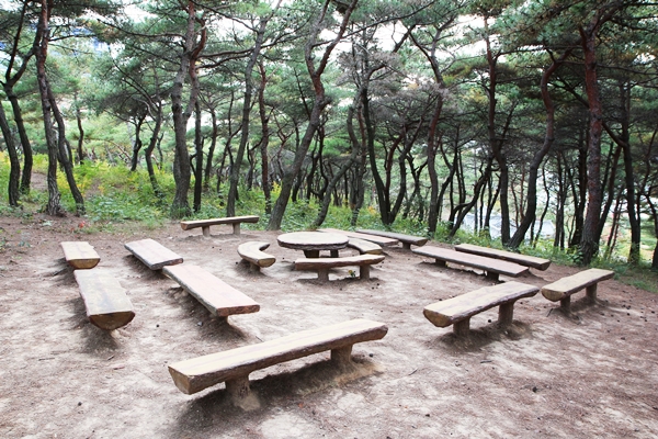 아름다운 우리학교의 가을 상세보기