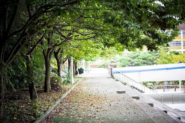 아름다운 우리학교 상세보기