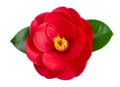 image01.png